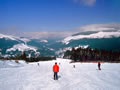 Schi- und Snowboardfahren