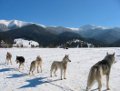 Winter Urlaub in der Slowakei – das Bergdorf Zuberec